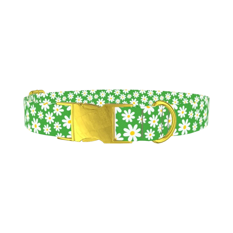 Green Daisy Meadow Dog Collar - metal gold