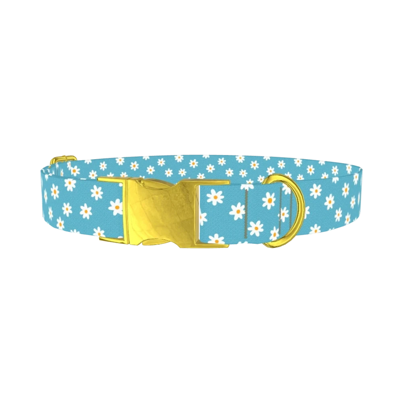 Daisy Floral Dog Collar - metal gold
