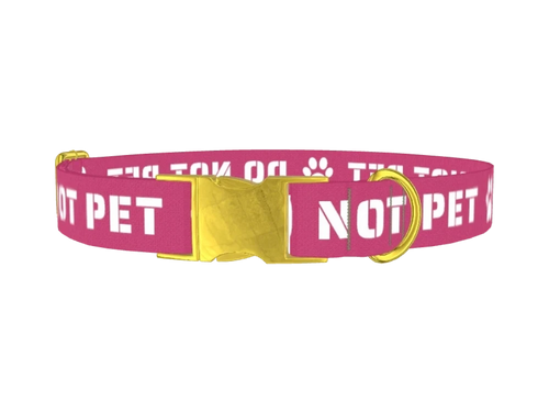 WORDS8_DontPet8