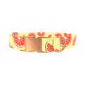 Citrus Fruit Dog Collar - metal rose gold