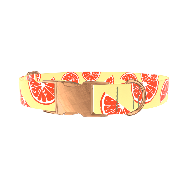 Citrus Fruit Dog Collar - metal rose gold