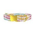 Positive Vibes Text Dog Collar - metal gold