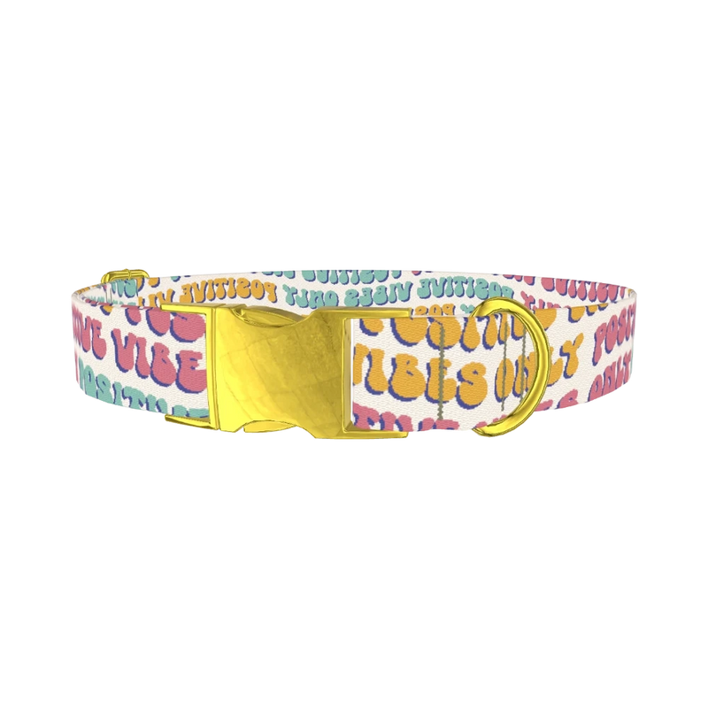 Positive Vibes Text Dog Collar - metal gold