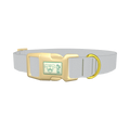 Elemental Color Dog Collar - plastic gold