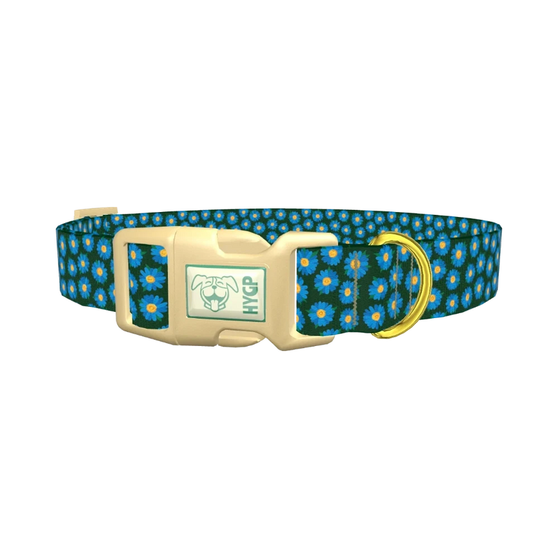 Blue Daisy Floral Dog Collar - plastic gold