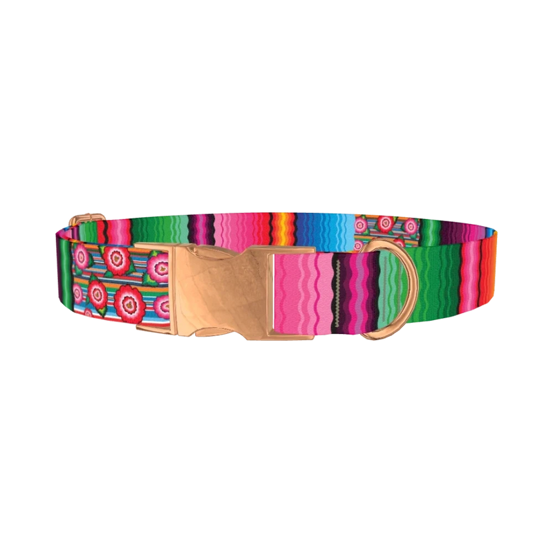 Mexican Floral Stripe Dog Collar - metal rose gold