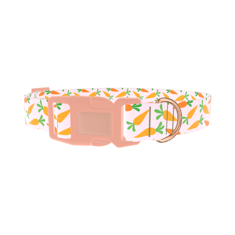 Carrot Garden Dog Collar - plastic rose gold