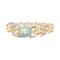 Carrot Garden Dog Collar - plastic silver