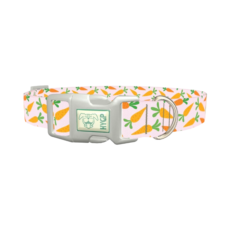 Carrot Garden Dog Collar - plastic silver
