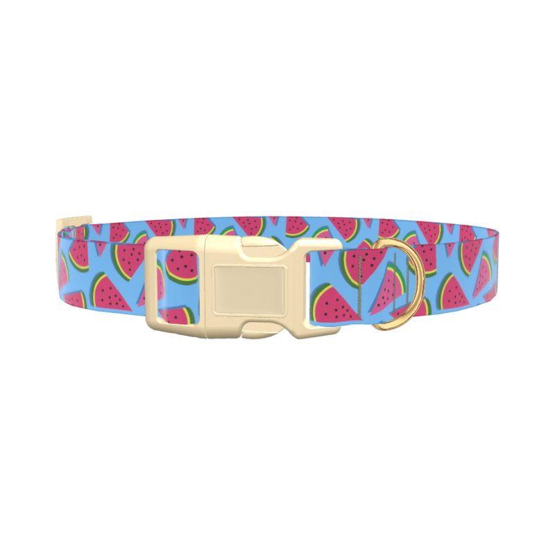 Geometric Watermelon Dog Collar - plastic silver