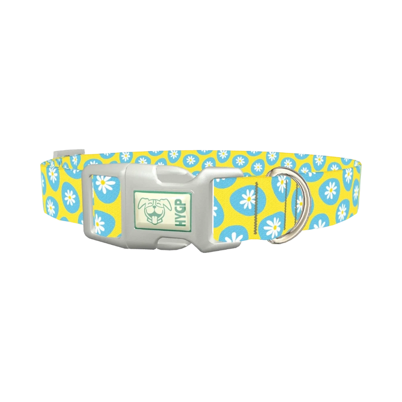 Blue Daisy Easter Egg Dog Collar - plastic silver