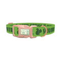 Squirrel Patrol Dog Collar - plastic rose gold