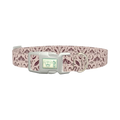 Halloween Witchy Dog Collar - plastic silver