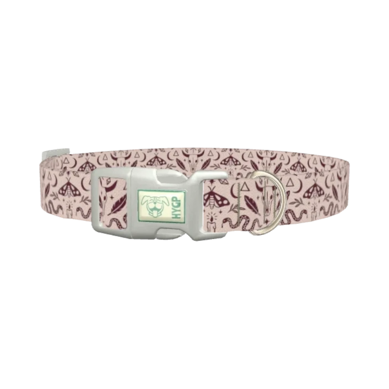 Halloween Witchy Dog Collar - plastic silver