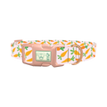 Carrot Garden Dog Collar - plastic rose gold