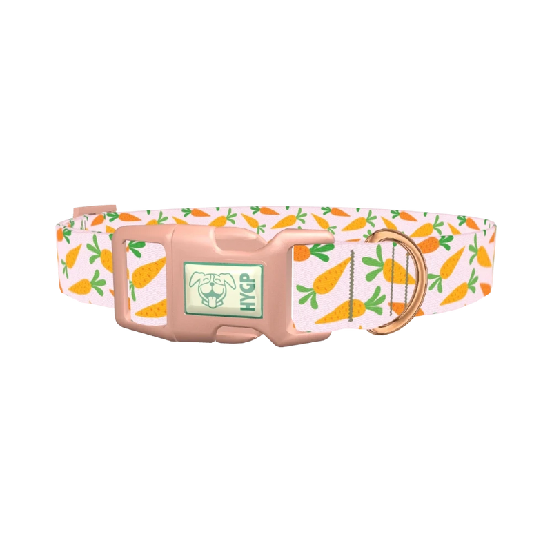 Carrot Garden Dog Collar - plastic rose gold