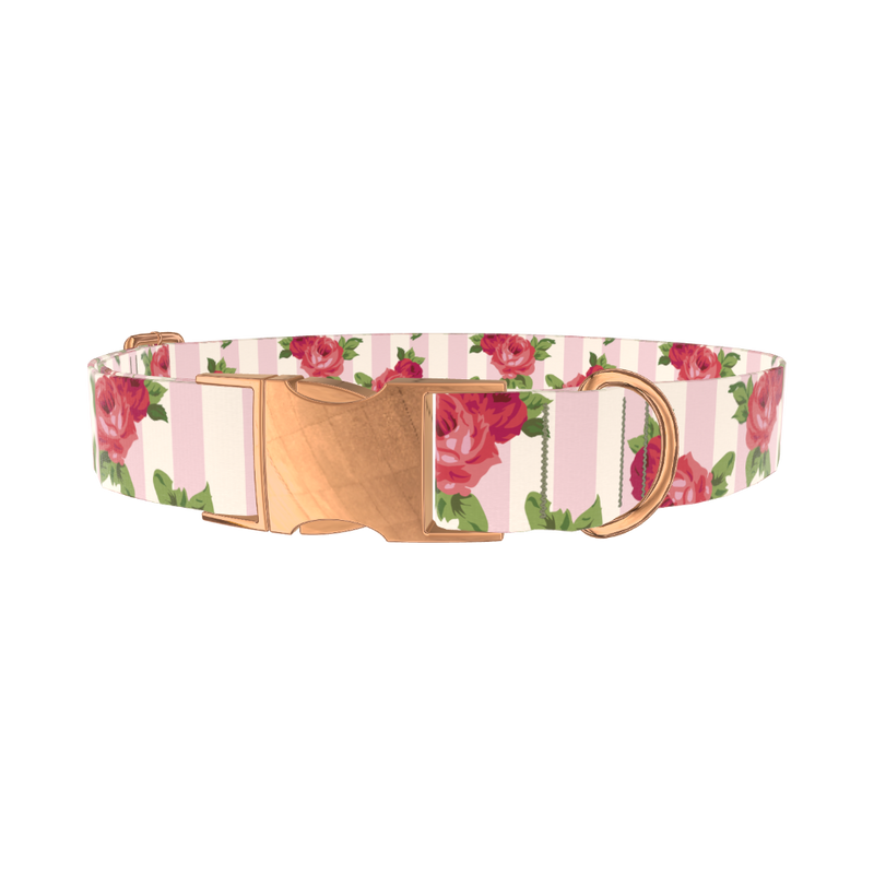 Striped Rose Pattern Dog Collar - metal rose gold