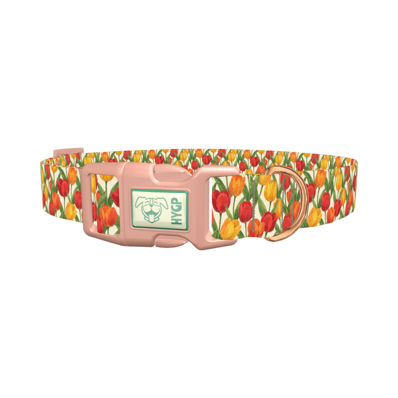 Red Yellow Tulip Pattern Dog Collar - plastic rose gold