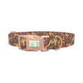Brown Blue Camo Dog Collar - plastic rose gold