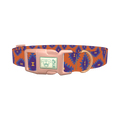Orange Geometric Diamond Dog Collar - plastic rose gold