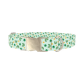 St. Patrick's Day Rainbow Dog Collar - metal silver