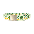 Leprechaun Hat Rainbow Dog Collar - metal silver