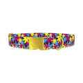 Colorful Leaf Pattern Dog Collar - metal gold