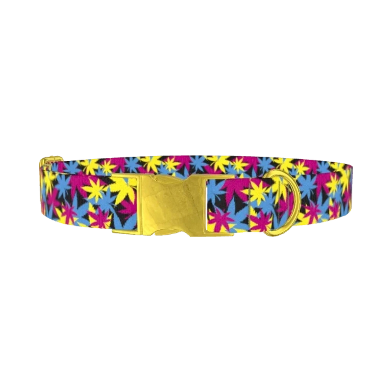 Colorful Leaf Pattern Dog Collar - metal gold