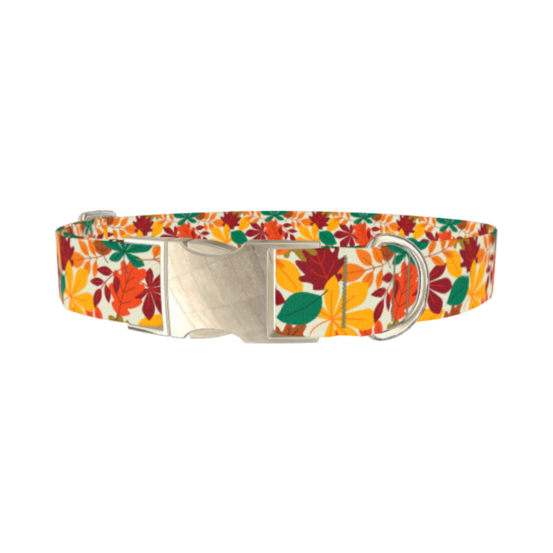 Multicolor Leaf Pattern Dog Collar - metal silver