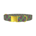 Colorful Tartan Dog Collar - metal gold