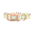 Birthday Boy Celebration Dog Collar - plastic rose gold