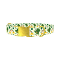 Leprechaun Hat Rainbow Dog Collar - metal gold