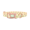 Colorful Bicycle Dog Collar - plastic rose gold