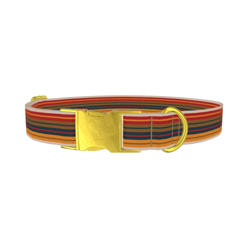 Autumn Stripes Dog Collar - metal gold