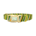 Geometric Diagonal Dog Collar - plastic gold