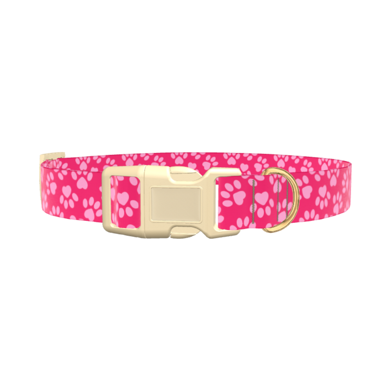 Pink Heart Paw Print Dog Collar - plastic silver