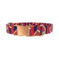 Patriotic Football Dog Collar - metal rose gold