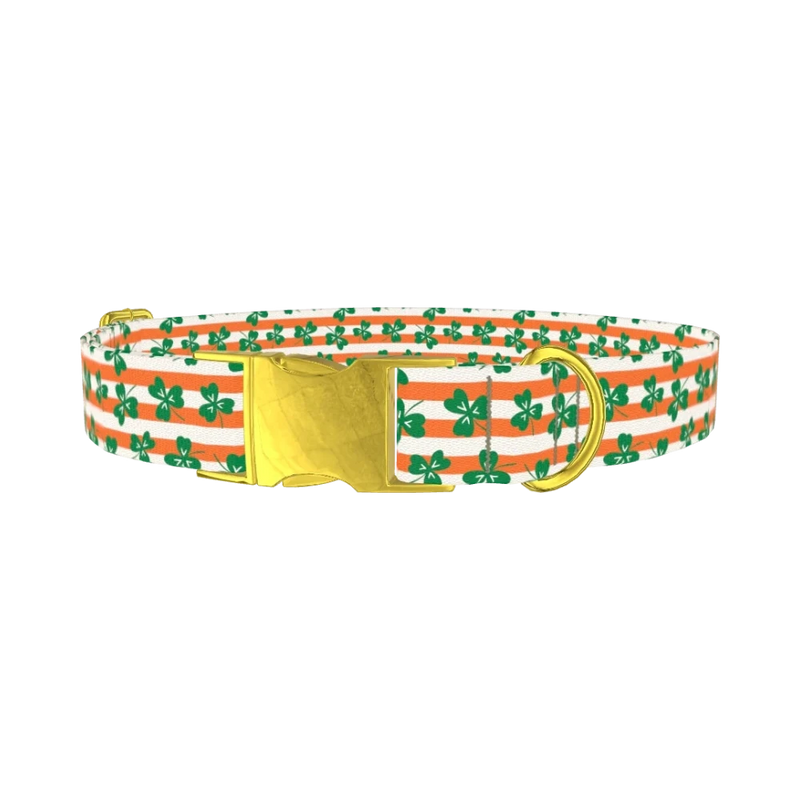 St. Patrick's Clover Stripe Dog Collar - metal gold