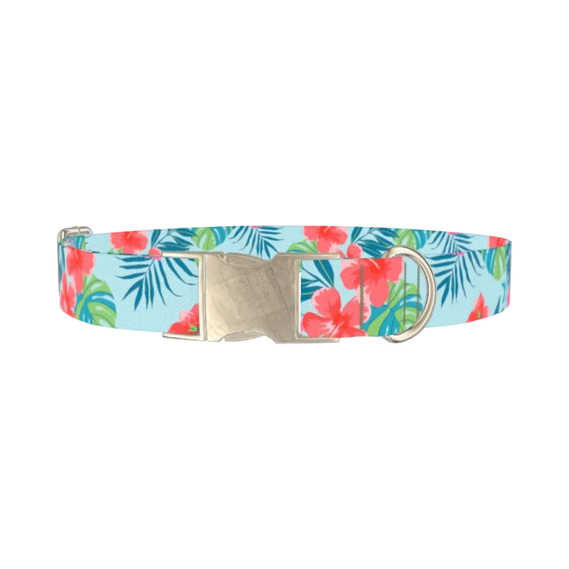Multi Floral Hibiscus Dog Collar - metal silver