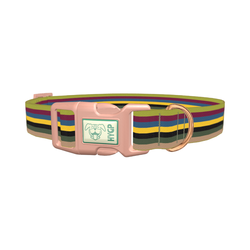 Color Stripe Dog Collar - plastic rose gold