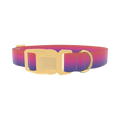 Gradient Pink Blue Dog Collar - plastic gold