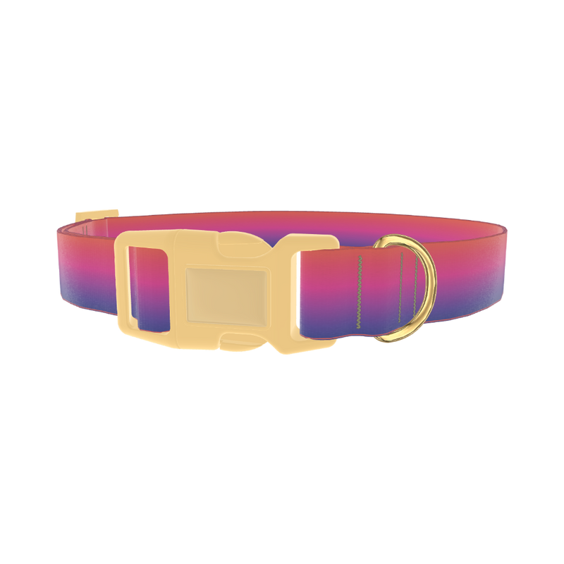 Gradient Pink Blue Dog Collar - plastic gold