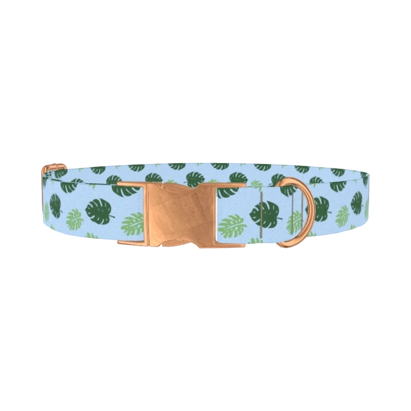 Tropical Hibiscus Dog Collar - metal rose gold