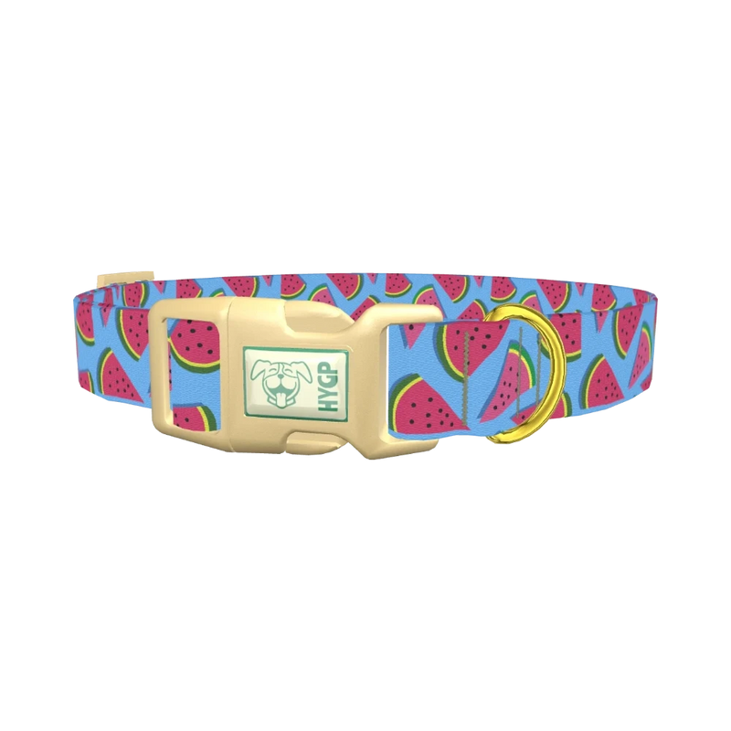 Geometric Watermelon Dog Collar - plastic gold