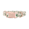 Desert Sun Cactus Dog Collar - plastic silver