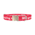Heart Phrase Dog Collar - metal silver