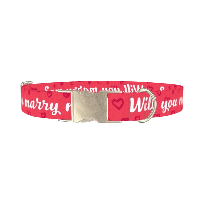 Heart Phrase Dog Collar - metal silver