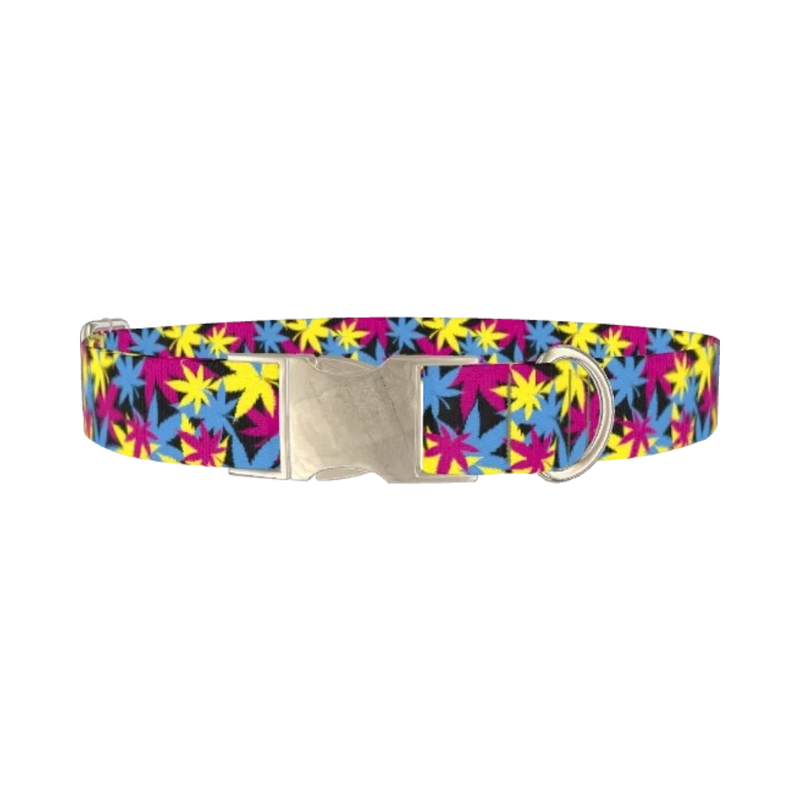 Colorful Leaf Pattern Dog Collar - metal silver