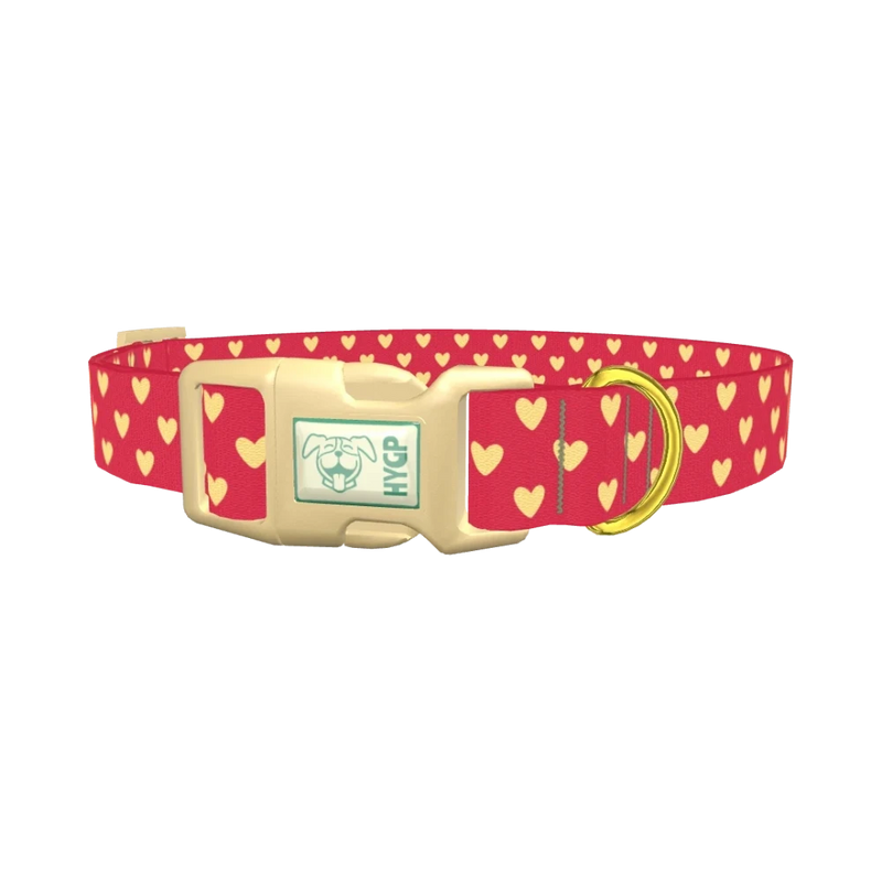 Yellow Heart Dog Collar - plastic gold