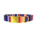 Colorful Mexican Stripe Dog Collar - metal gold